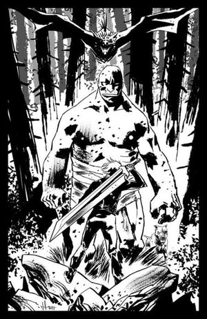 Lost Fantasy #1 | Cover C 1:15 Ratio Luca Casalanguida Black & White Variant