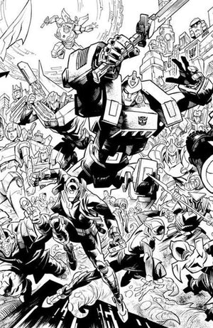 Descriptive image text