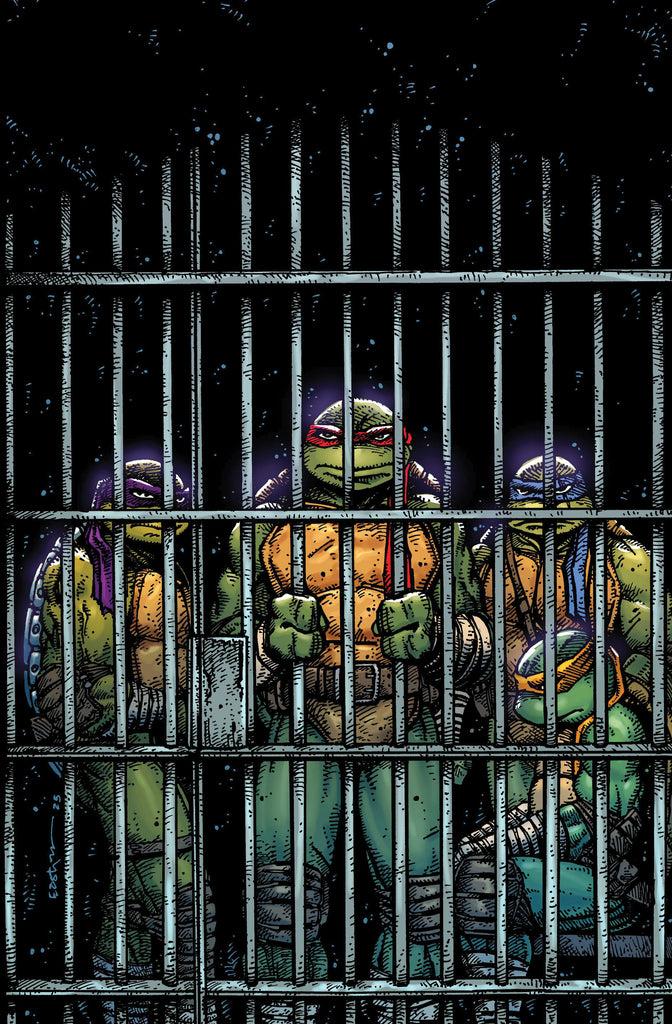Teenage Mutant Ninja Turtles #11 Variant Ri 1:10 Ratio (Eastman Full Art) | PREORDER