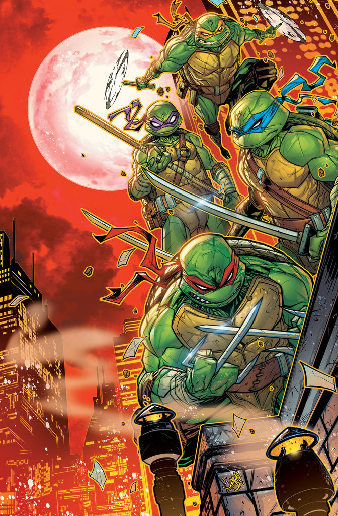 Teenage Mutant Ninja Turtles #12 Variant Ri 1:50 Ratio (Meyers Full Art)