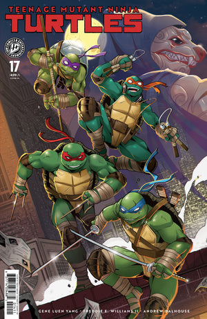 Teenage Mutant Ninja Turtles #17 1:25 Ratio Variant