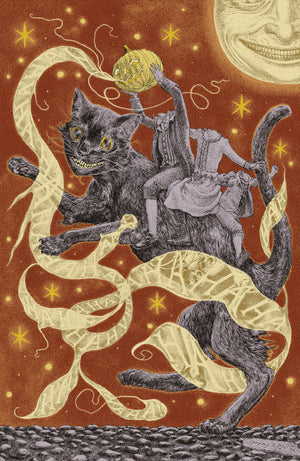 Descriptive image text