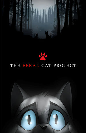 FERAL #1 | C2E2 EXCLUSIVE VIRGIN COVER BY JAVAN JORDAN "BLAIR WITCH HOMAGE"