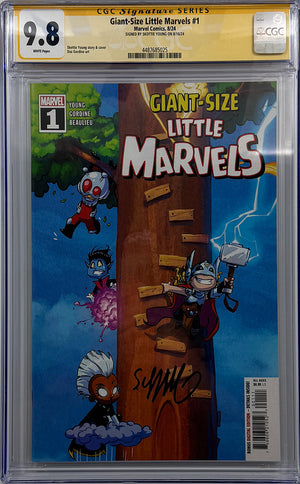 Descriptive image text