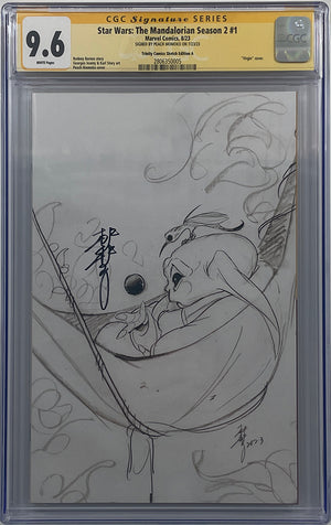 Descriptive image text