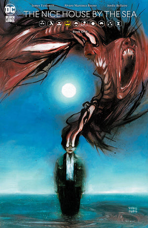 Descriptive image text