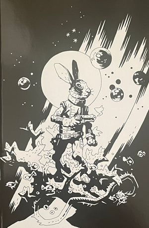 Descriptive image text