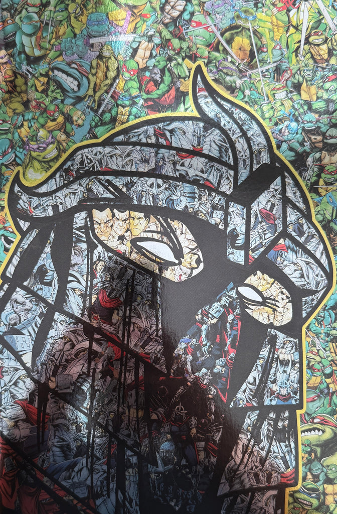 TEENAGE MUTANT NINJA TURTLES #1 | MR GARCIN COVER | NYCC VARIANT