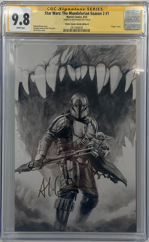 Descriptive image text