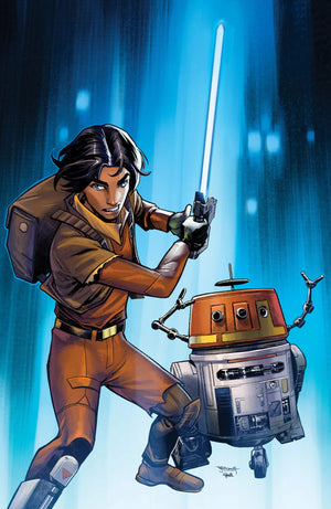 Descriptive image text