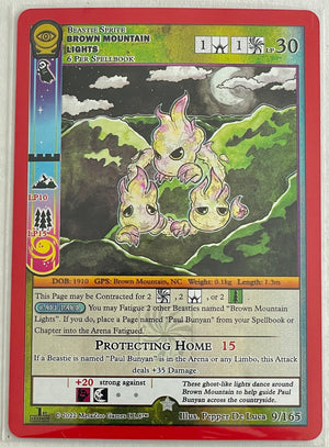 Descriptive image text