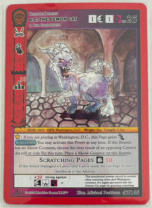 Descriptive image text