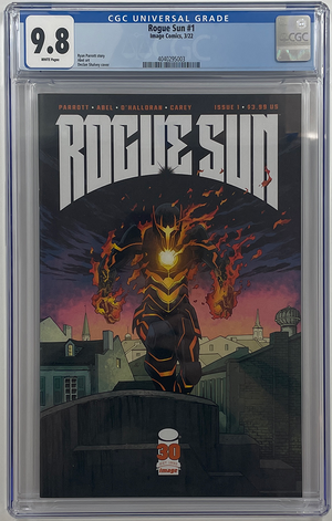 Descriptive image text